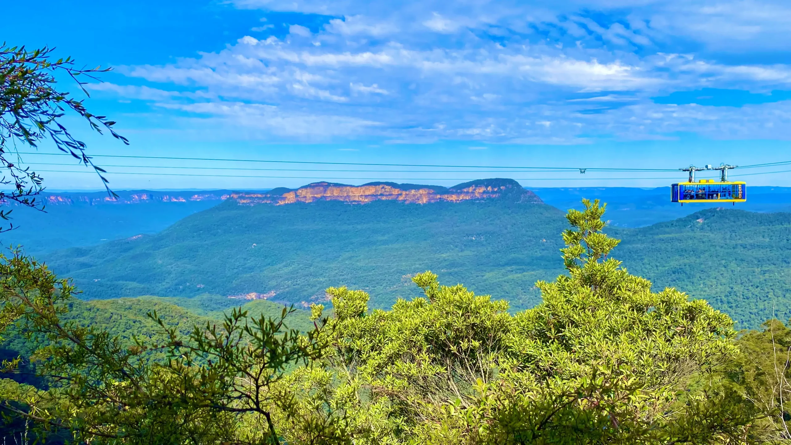 Wachtl Australia - Cloud Nine Sydney - Four Hours
