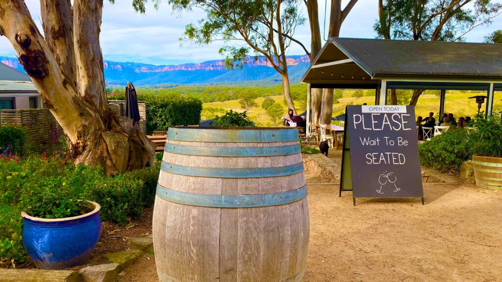 Blue Mountains – Back Roads, Vines & wild Kangaroos