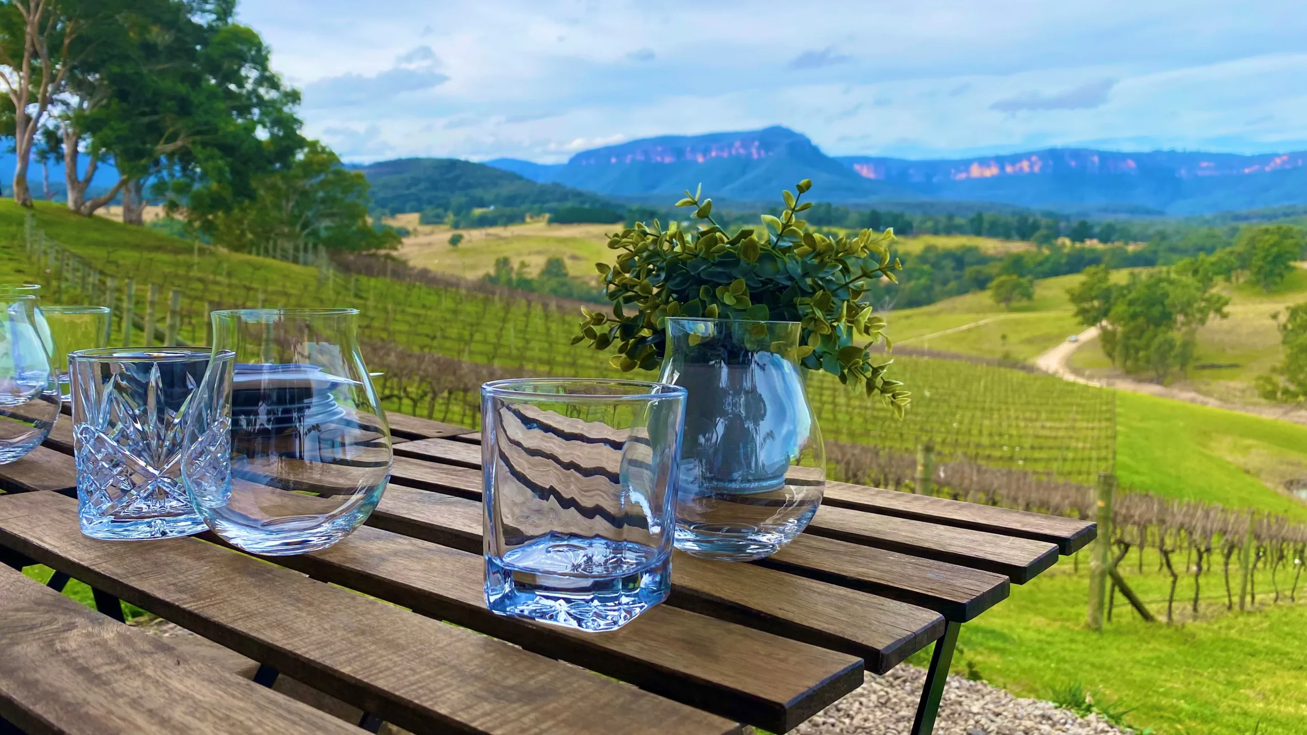 Table set with glasses for the boutique wine tasting, scenery overlooking vineyard with wild kangaroos and cliffs of Blue Mountains in backdrop.