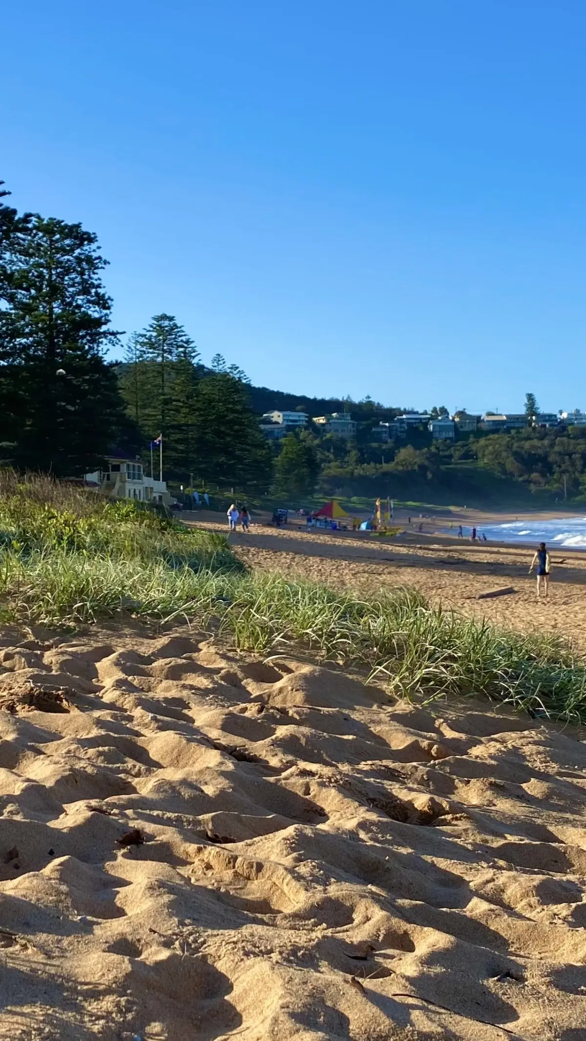 Wachtl Australia