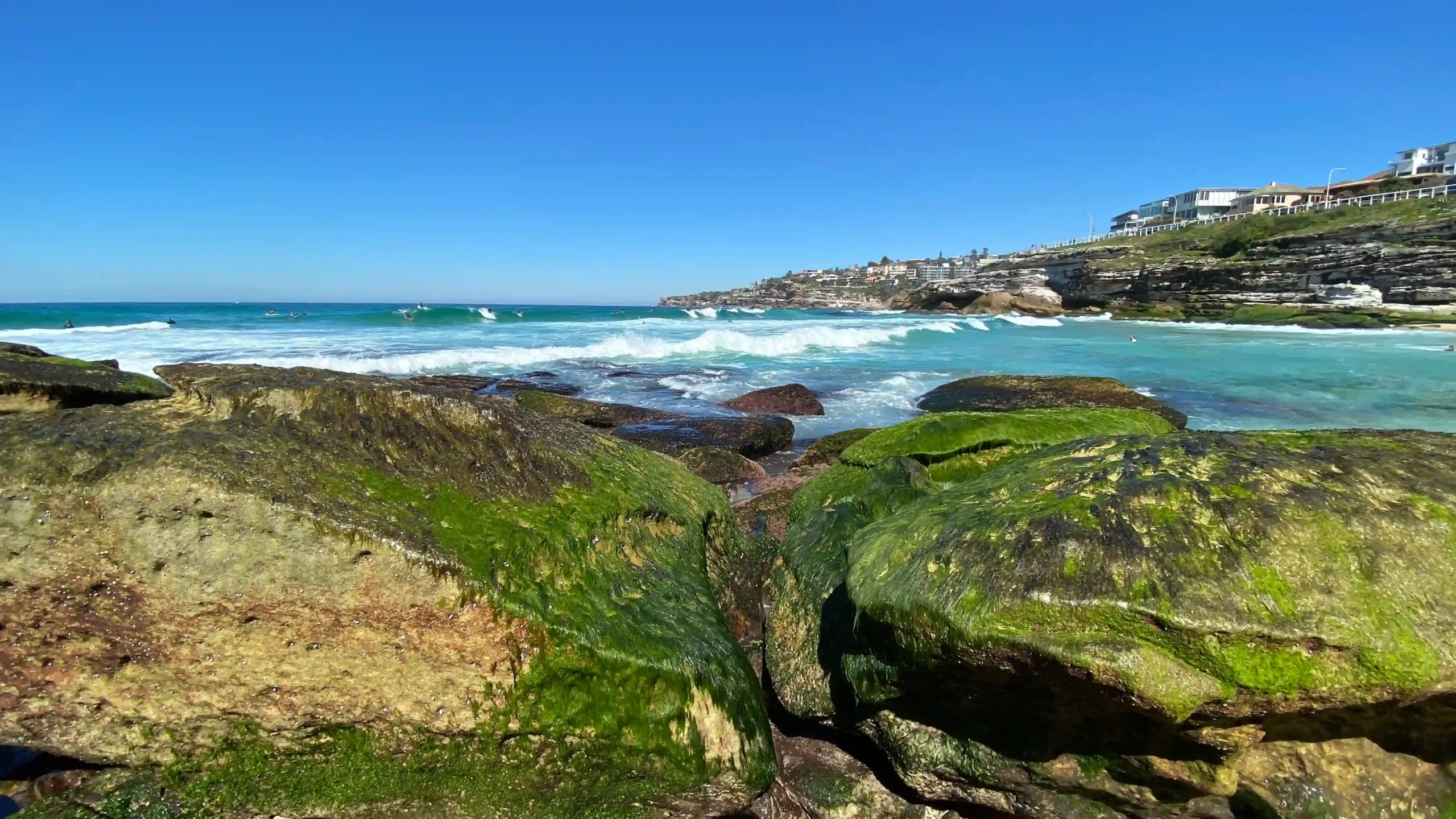 Tamarama Beach, a Sydney Eastern Suburb, coastal scene with large moss‑covered rocks in the foreground, turquoise waves breaking near the shore, surfers in the water, and hillside homes overlooking the ocean under a bright blue sky
