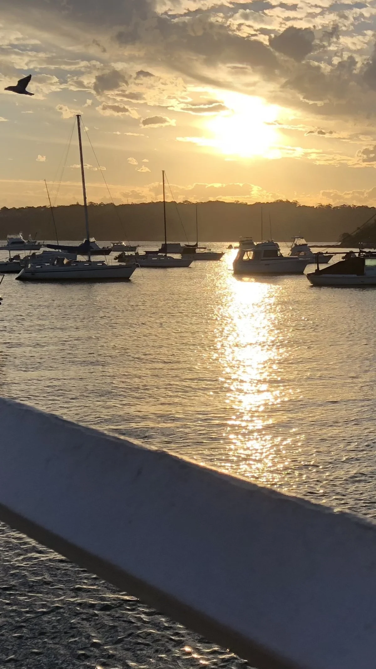 Wachtl Australia